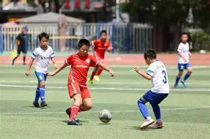 电竞奥运停,办原因揭秘,详细解读,6686体育平台,6686体育官方网站,6686体育登录入口,6686体育app下载