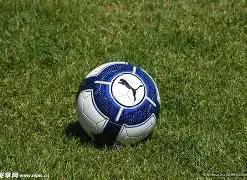 二十三之新,6686体育,6686体育平台,6686体育平台,6686体育官方网站,6686体育登录入口,6686体育app下载