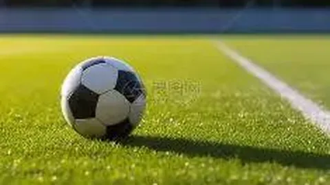 詹皇谈《最后之舞》：注入新活力，渴望重返赛场