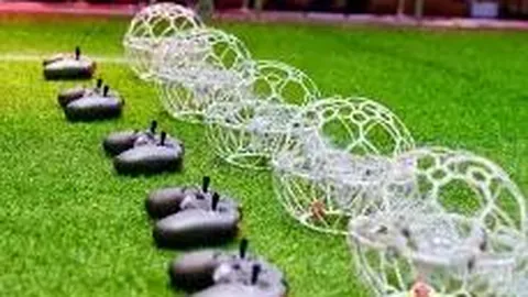 维汉联姻秘闻：维吾尔女星重塑娱乐圈风貌