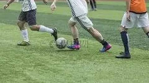 6686体育 资讯 112942 naz