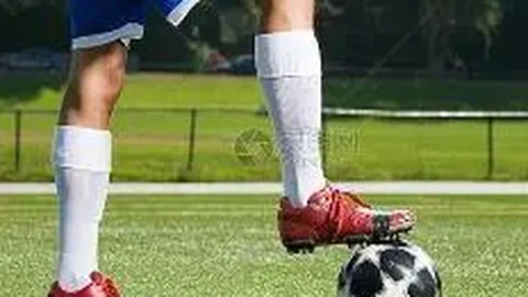 6686体育 资讯 112340 mcy