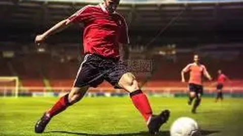 6686体育 资讯 112311 5jd