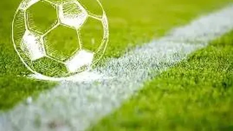 6686体育 资讯 100224 3at